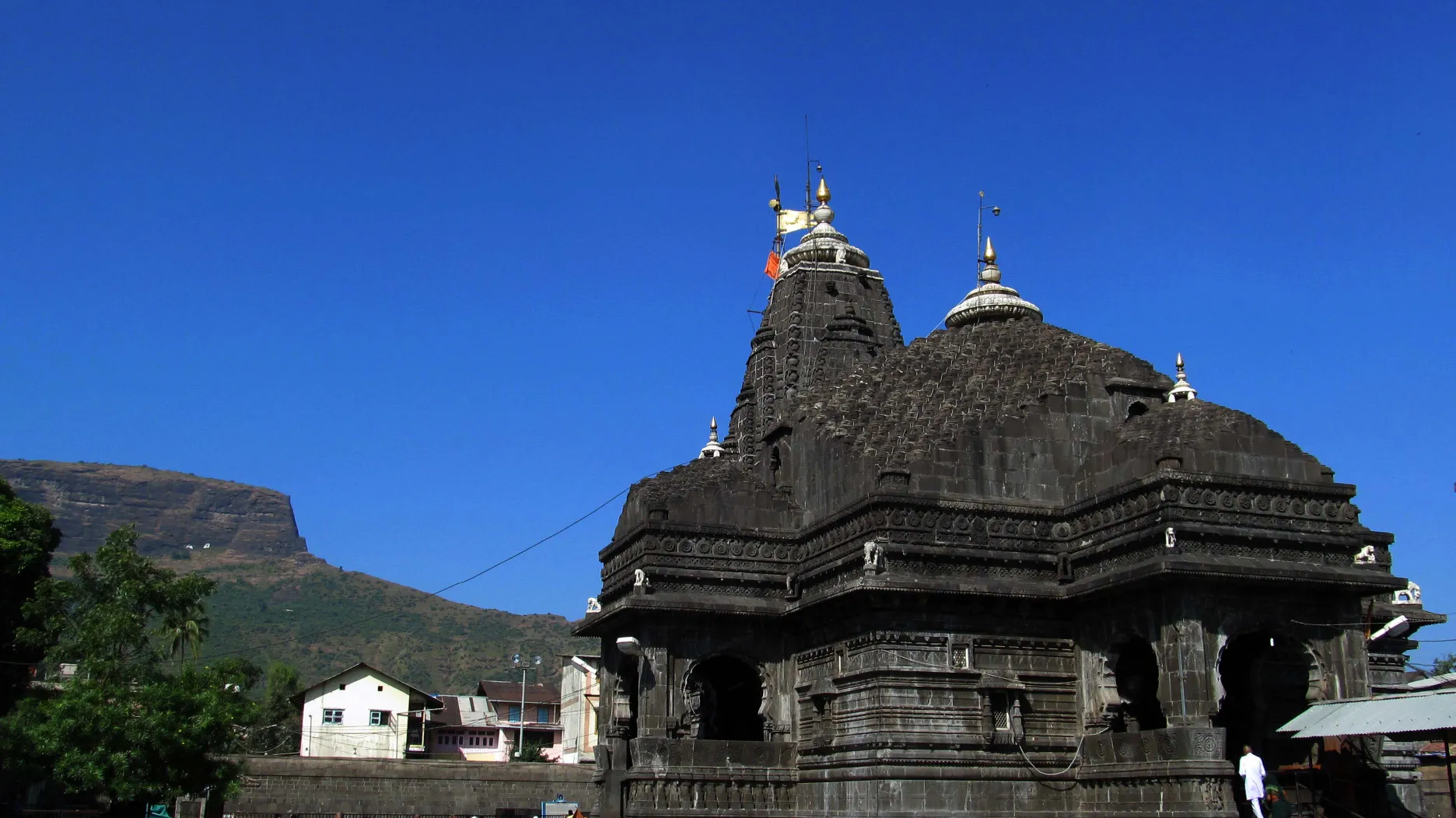 Kaal Sarp <br> Dosh Puja